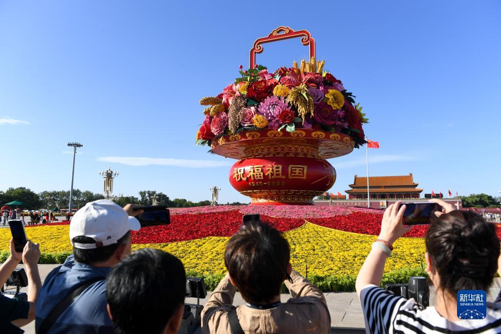 白菜彩金